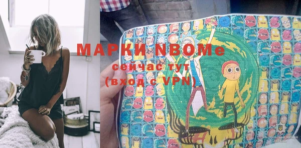 шишки Балахна