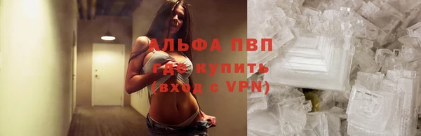 шишки Балахна