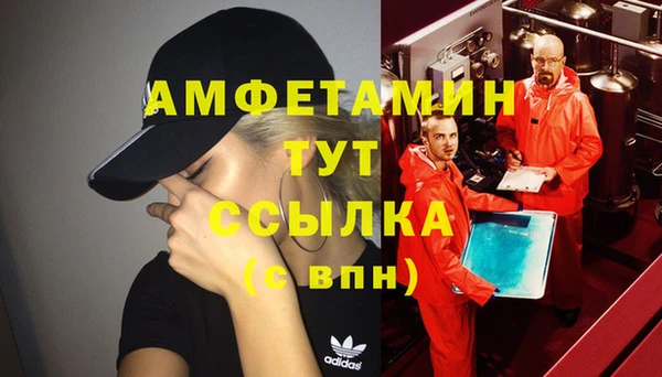 шишки Балахна