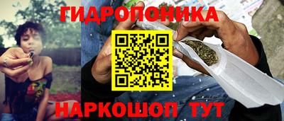 мяу мяу мука Аргун