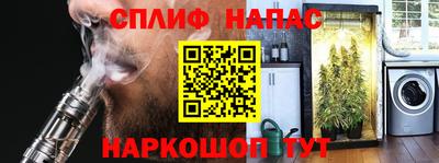 мяу мяу мука Аргун