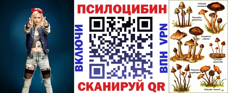Галлюциногенные грибы MAGIC MUSHROOMS  продажа наркотиков  Вольск 