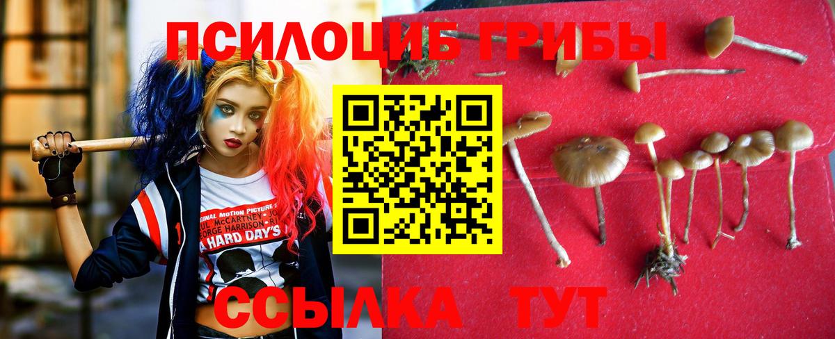Галлюциногенные грибы прущие грибы Вольск