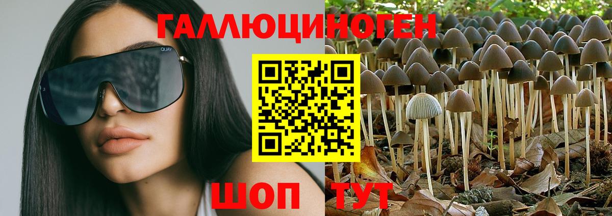 Галлюциногенные грибы ЛСД  Псилоцибиновые грибы Cubensis  Вход с VPN  Вольск 