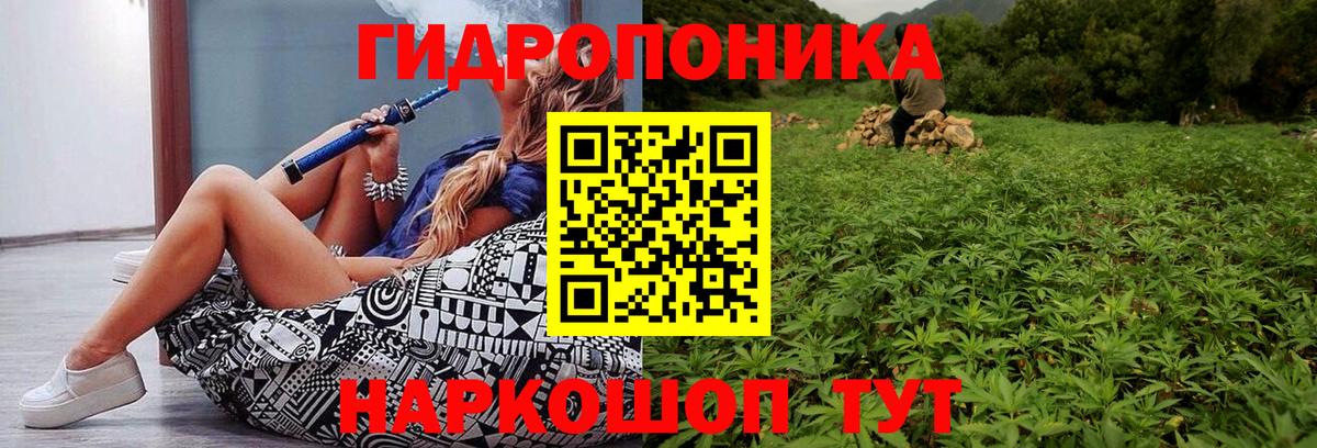 Канабис план  Шишки марихуана Bruce Banner  Конопля Amnesia  Вольск  Вход с VPN 